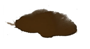 Tan Envy Spray Tan Solution (European Blend)
