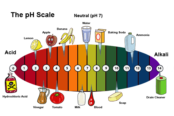 ph-scale-tampa-bay-tan